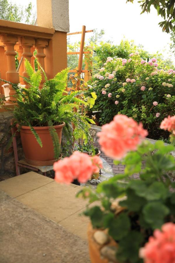 Apartmani Sarlija ปาโกชตาเน ภายนอก รูปภาพ